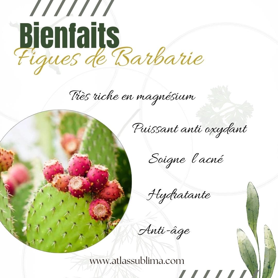 Gommage à l'extrait de figue de barbarie
